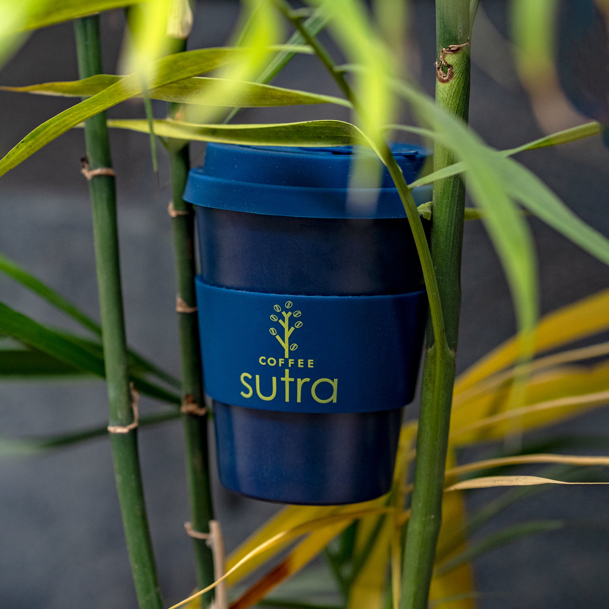 Sutra Travel Cup