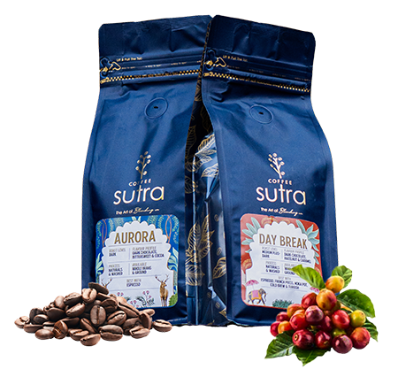 Aurora and Day Break coffees in Sutra’s navy and gold packaging